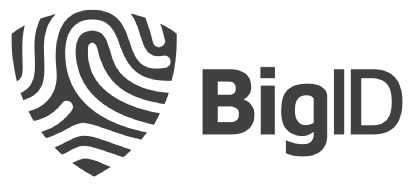 logo-bigID-e1680270917473.png