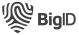 logo-bigID-e1680270917473.png